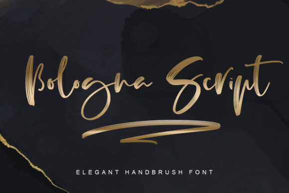 Bologna Script: A Modern Handwritten Font for Brands