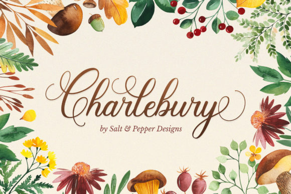 Charlbury Script: A Premium Font for Polished Branding