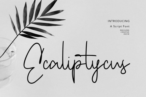 Ecaliptycus Script: A Review for Editorial Design