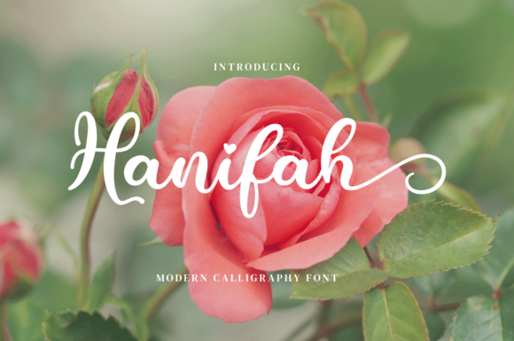 Hanifah: A Modern Script Font for Marketers