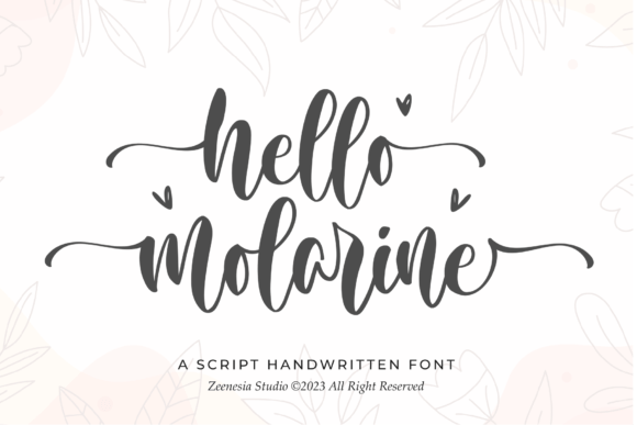 Hello Molarine Font for Elegant Business Branding