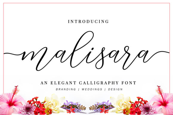 Malisara Script: A Romantic Typeface for Web Design