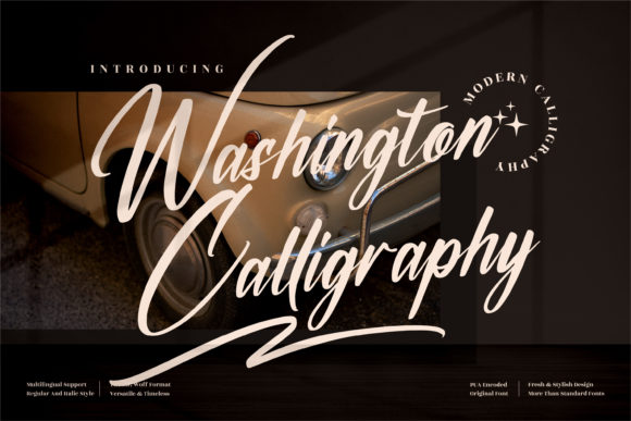 Washington Calligraphy: A Premium Script Font Review